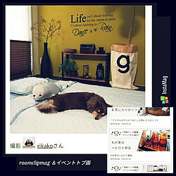 RoomClip mag/HOME COORDY/ホームコーディ/HOME COORDY COLD/チワックス...などのインテリア実例 - 2019-06-29 22:36:38
