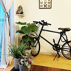 自転車のある部屋/リネンカーテン/観葉植物/自転車のインテリア実例 - 2021-07-04 17:58:47