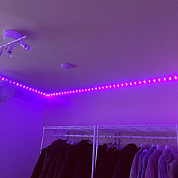 LEDテープライト/ピンク色/猫の部屋⁈/元次男部屋/部屋全体のインテリア実例 - 2022-03-14 12:50:46