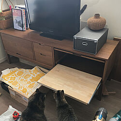 DIY/猫と暮らす/猫部/IKEAテレビ台/プリンター置き場...などのインテリア実例 - 2019-03-31 16:30:29