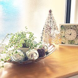 玄関/入り口/クリスマス/クリスマスツリー/観葉植物/IKEAのインテリア実例 - 2016-11-17 13:16:09