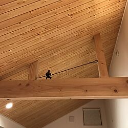 壁/天井のインテリア実例 - 2016-12-11 17:50:31