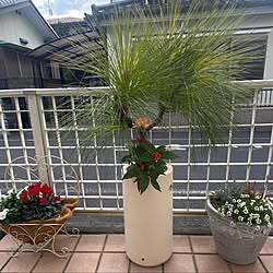 お正月/インスタはdainaorei12/botanicaldecor/DIY/寄せ植え...などのインテリア実例 - 2023-01-01 00:04:05