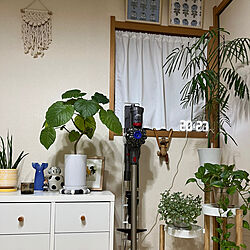 観葉植物のある暮らし/マリメッコ/モモナチュラル/IKEA/リビングのインテリア実例 - 2023-06-23 20:31:23