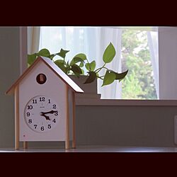 棚/淡いグリーンの壁紙/カインズホーム/観葉植物/鳩時計のインテリア実例 - 2016-05-04 17:07:36