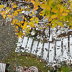 犬の足跡/枕木の小道DIY/敷石DIY/欅の木/黄葉と雪...などのインテリア実例 - 2022-12-23 15:47:54