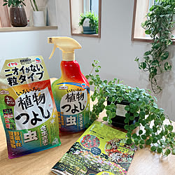 アース製薬/いろいろな植物つよし/アースガーデン/害虫対策/植物のある暮らし...などのインテリア実例 - 2023-05-26 17:21:57