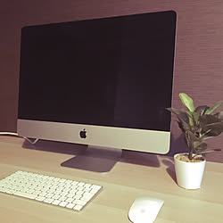 机/Mac/1K/観葉植物/一人暮らし...などのインテリア実例 - 2017-03-24 15:16:51