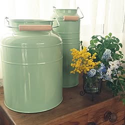 室内グリーン/初めての投稿強化月間！/花のある暮らし/観葉植物/ナチュラル...などのインテリア実例 - 2017-04-18 10:54:11