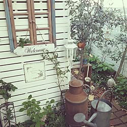 玄関/入り口/ミルク缶/ガーデン/DIYのインテリア実例 - 2015-04-23 17:51:31