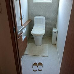 トイレのインテリア実例 - 2017-06-16 15:24:12