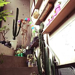 玄関/入り口/DIY/一人暮らし/階段/Botanical life のインテリア実例 - 2014-10-13 22:03:05