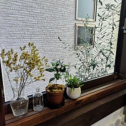 キッチン/窓/ドライフラワー/観葉植物のインテリア実例 - 2023-10-21 22:36:33