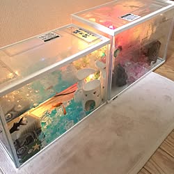 水槽/金魚のインテリア実例 - 2016-02-15 11:56:48