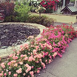 玄関/入り口/植物/DIY/庭/会社の庭...などのインテリア実例 - 2014-05-28 06:00:03