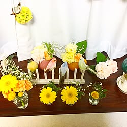 棚/観葉植物/花/ガーベラのインテリア実例 - 2016-10-09 01:31:17