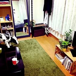 部屋全体/リンゴ箱/植物/牛さん/緑色...などのインテリア実例 - 2013-10-14 22:41:31