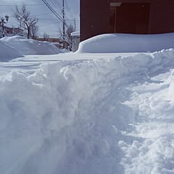 バス/トイレ/バス/トイレではないね/上手く写せない/頭痛持ち/双子...などのインテリア実例 - 2016-02-24 10:33:43