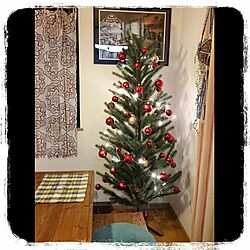 リビング/DIY/クリスマスツリー/IKEA/プラントハンガー...などのインテリア実例 - 2015-11-15 21:31:03