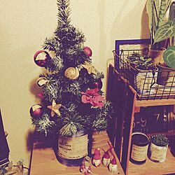 リビング/クリスマスツリー/リメ缶/3COINS/すのこ棚...などのインテリア実例 - 2015-12-02 17:27:20