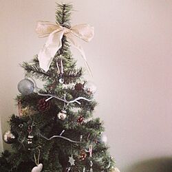 クリスマス/クリスマスツリーのインテリア実例 - 2012-12-22 18:15:12