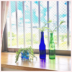 ベッド周り/寝室の窓辺/観葉植物/ビールの空き瓶/青い瓶...などのインテリア実例 - 2017-08-16 11:51:09