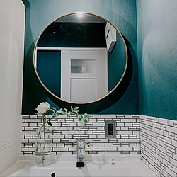 ミラー壁掛け/洗面所の壁/洗面室鏡/グリーンクロス/お気に入りのカラー...などのインテリア実例 - 2021-06-13 22:29:51