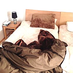 ベッド周り/寝汗のインテリア実例 - 2013-02-01 18:54:30