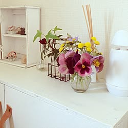 バス/トイレ/植物/雑貨/DIYのインテリア実例 - 2013-04-07 10:11:03