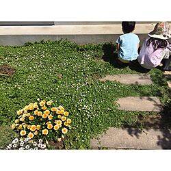 玄関/入り口/ガーデニング/庭のインテリア実例 - 2017-06-04 11:04:29