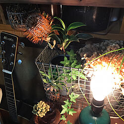 机/レトロ/ランプ照明/グリーンインテリア/植物のある暮らし...などのインテリア実例 - 2017-09-18 21:48:29