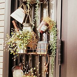 玄関/入り口/観葉植物のインテリア実例 - 2014-11-20 11:42:37