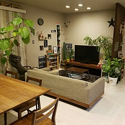 部屋全体/家/暮らし/植物/植物のある暮らしのインテリア実例 - 2017-01-12 04:39:06