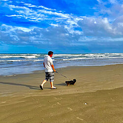 犬のお散歩コース/海/本物の海/海のある暮らし/海近くの家...などのインテリア実例 - 2021-08-02 17:28:27
