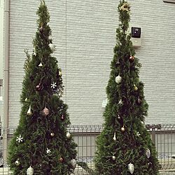 玄関/入り口/ニトリ/クリスマスのインテリア実例 - 2016-11-15 17:15:08