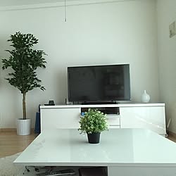 部屋全体/IKEA/一人暮らし/100均/観葉植物のインテリア実例 - 2015-06-13 12:18:16