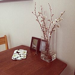 机/植物のインテリア実例 - 2014-03-19 14:00:28