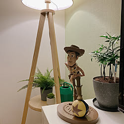 woody/TOYSTORY/ウッディーが覗いてる♡/ウッディーなインテリア/ウッディ...などのインテリア実例 - 2023-02-12 14:27:13