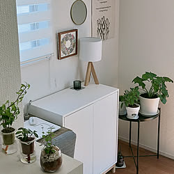 リビング/植物のある暮らし/観葉植物のある部屋/建売住宅/IKEA...などのインテリア実例 - 2021-04-06 12:29:00