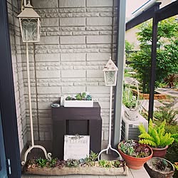 gardening/ガーデニング/植物/手作りの庭/DIY...などのインテリア実例 - 2014-09-23 12:20:12