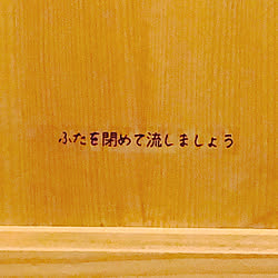 名もなき家事/煙突/ヨツール/BESSの家/薪ストーブのある暮らし...などのインテリア実例 - 2020-11-01 00:02:39