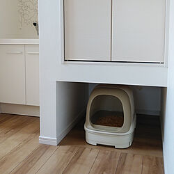 猫トイレ/ねこのいる日常/ニャンとも清潔トイレ/ねこと暮らす。/ニャンともと暮らすのインテリア実例 - 2020-04-16 10:03:59