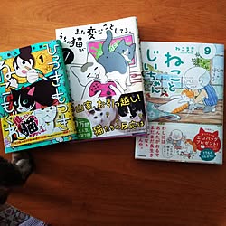 部屋全体/今月の新刊/ねことじいちゃん/ねこまき/卵山玉子...などのインテリア実例 - 2023-04-08 13:04:38