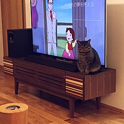 机/SONY 4Kテレビ/SONYスピーカー/テレビボード/オーキタ家具のインテリア実例 - 2016-01-07 21:46:33