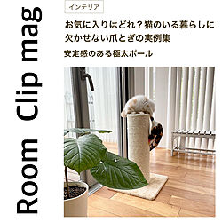 部屋全体/RoomClip magのインテリア実例 - 2023-09-27 19:14:25