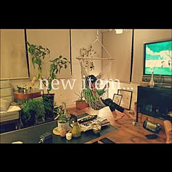 リビング/植物/green/漆喰壁/日常の風景...などのインテリア実例 - 2016-04-01 07:47:01