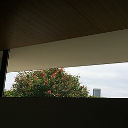 壁/天井/もう少し大きな窓にすればよかった/吹き抜け/漆喰壁のインテリア実例 - 2015-07-26 02:56:55