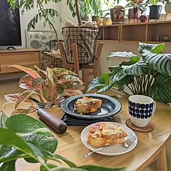 フライパンジュウ/北欧インテリア/観葉植物のある暮らし/植物のある暮らし/北欧ナチュラルインテリア...などのインテリア実例 - 2023-10-13 16:52:01