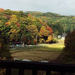 リビング/グラデーションが素敵/秋の風景/山好き/ウッドデッキからの景色...などのインテリア実例 - 2016-11-15 10:15:22