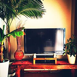 リビング/アジアン/手作り/手作りテレビ台/観葉植物のインテリア実例 - 2015-01-12 13:56:45